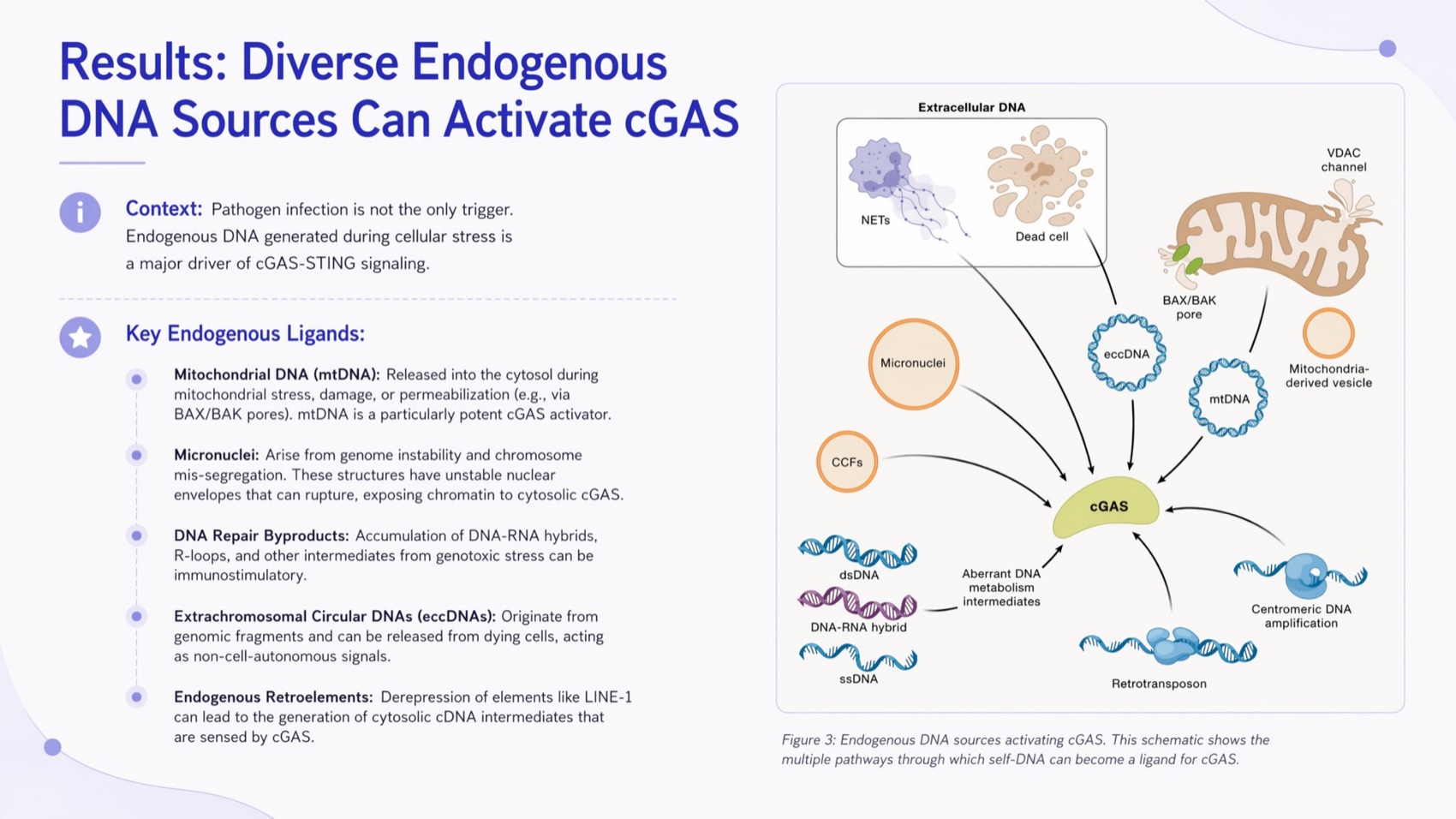 Generated endogenous DNA sources slide using Figure 3