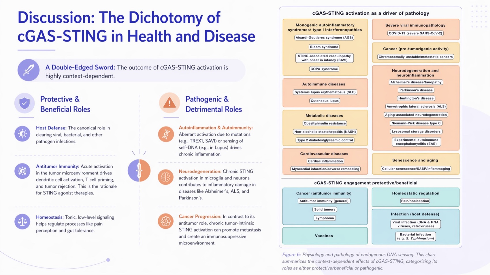 Generated health and disease dichotomy slide using Figure 6