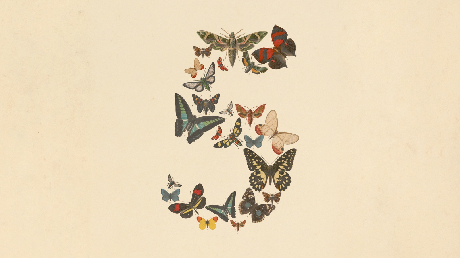 Claude Fable 5 launch art — the numeral five composed of butterflies and moths