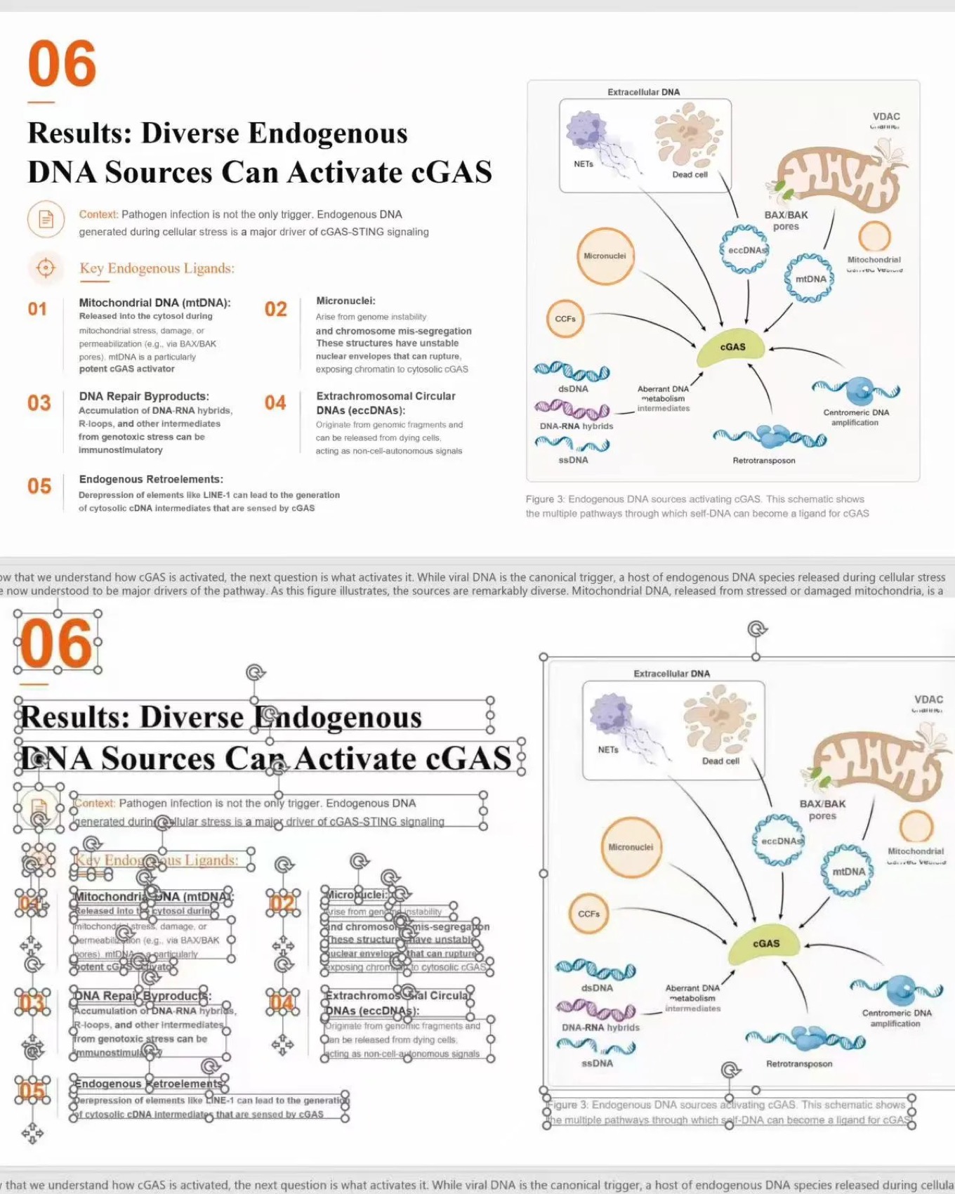 The same Tosea AI slide opened in PowerPoint with every title, bullet, and figure as a separately editable object with selection handles, demonstrating an editable slide deck rather than a flat image