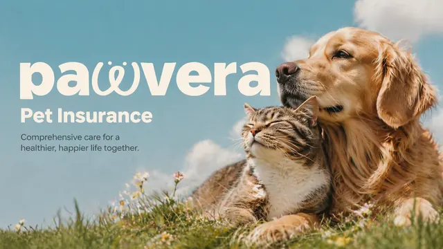 Pawvera Warm Earth-Tone Pet Insurance Pitch Deck