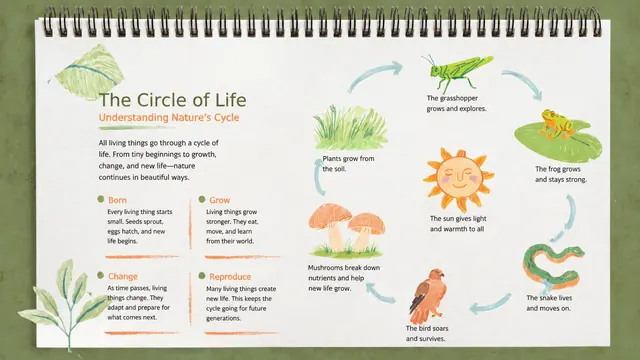 Scrapbook Style Nature Cycle and Food Chain Lesson