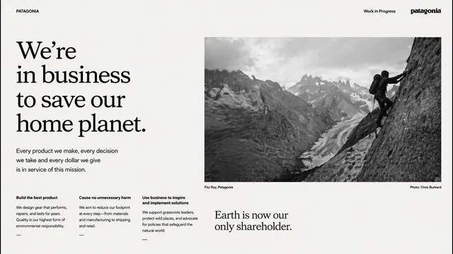 Patagonia Planet Mission ESG Presentation Template