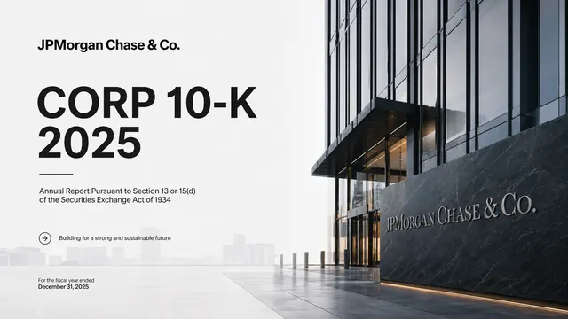 10-K Slate: Professional Annual Financial Report