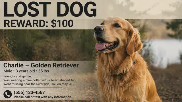 Lost Dog Poster and Community Announcement Template