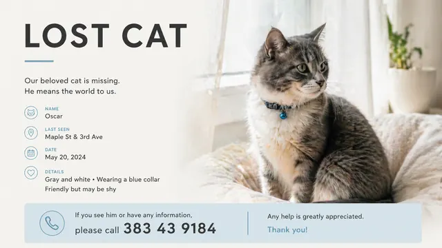 Lost Cat Flyer Template with Clear Contact Layouts
