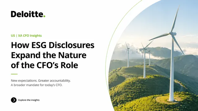 Corporate ESG Strategy & CFO Insights Report
