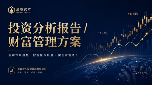 Navy and Gold Professional Financial Portfolio Analysis