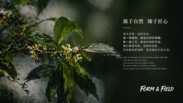 Herbal Medicine & Botanical Brand Editorial Deck